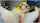 camgirl blonde cosplay
