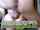 mating press missionary pounding