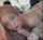 amateur blowjob facial