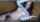 camgirl hairy chaturbate