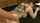 asian jav japanese