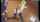 hentai teacher dildo