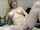 blonde masturbation camgirl