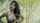 sexy beauty web series