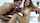 camgirl creampie thai