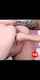 fist hot inked
