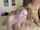 camgirl bisexual threesome