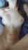 amateur babe fuck