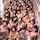 asian japanese orgy