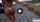 video full porno