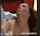 milf bbsm hardcore