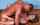 missionary amature couple