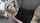 stepmom creampie blonde