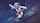 animation dance censored