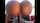 camgirl pussy ass