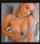 camgirl big boobs blonde