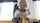asian cosplayer schoolgirl