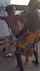 public gangbang bbc