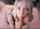 blonde pmv amateur
