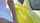 anal dildo yellow