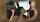 blowjob brunette double