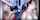 threesome brunettes blowjob