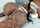 camgirl ebony fishnet