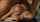 big boobs licks cock brunette