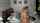 camgirl latina hot