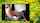 tits anal sex