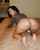 milf brunette big  ass