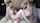camgirl threesome amateur