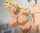 tanned hentai blonde