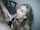 blonde blowjob amateur