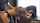 jav japan japanese