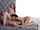 teen group threesome