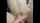 teen cumshot shaved