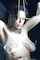 amateur bdsm bondage