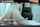 exoclick ads white