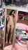 amateur teen cute