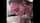 amateur couple blowjob