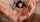 feet joi dirty talk