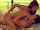 latina blowjob pmv