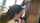 amateur bbc interracial