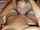 big tits blond hot