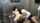 jav asian no mosaic