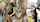 jav japan japanese