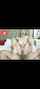 blonde innie pussy horny