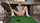 blowjob sex hardcore