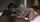 blowjob brunette bbc